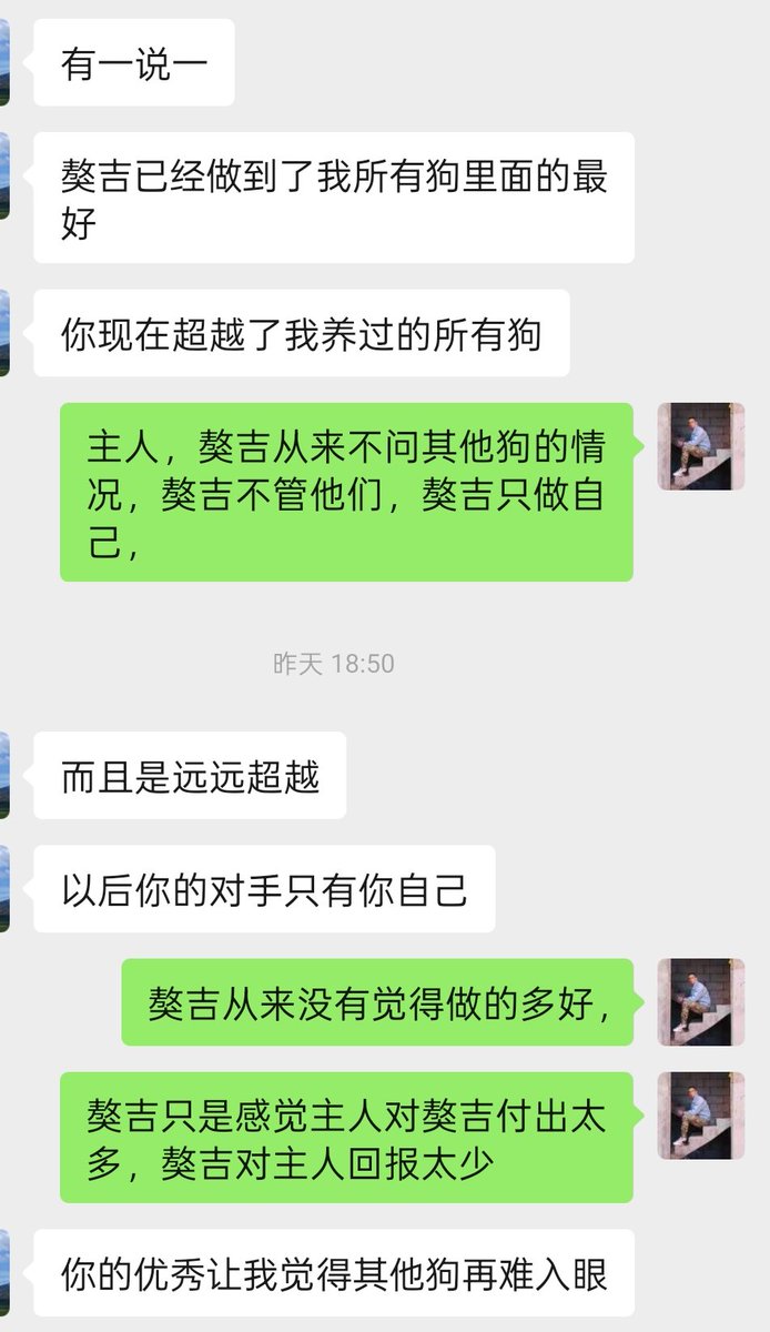 dimon是条犬 tweet media