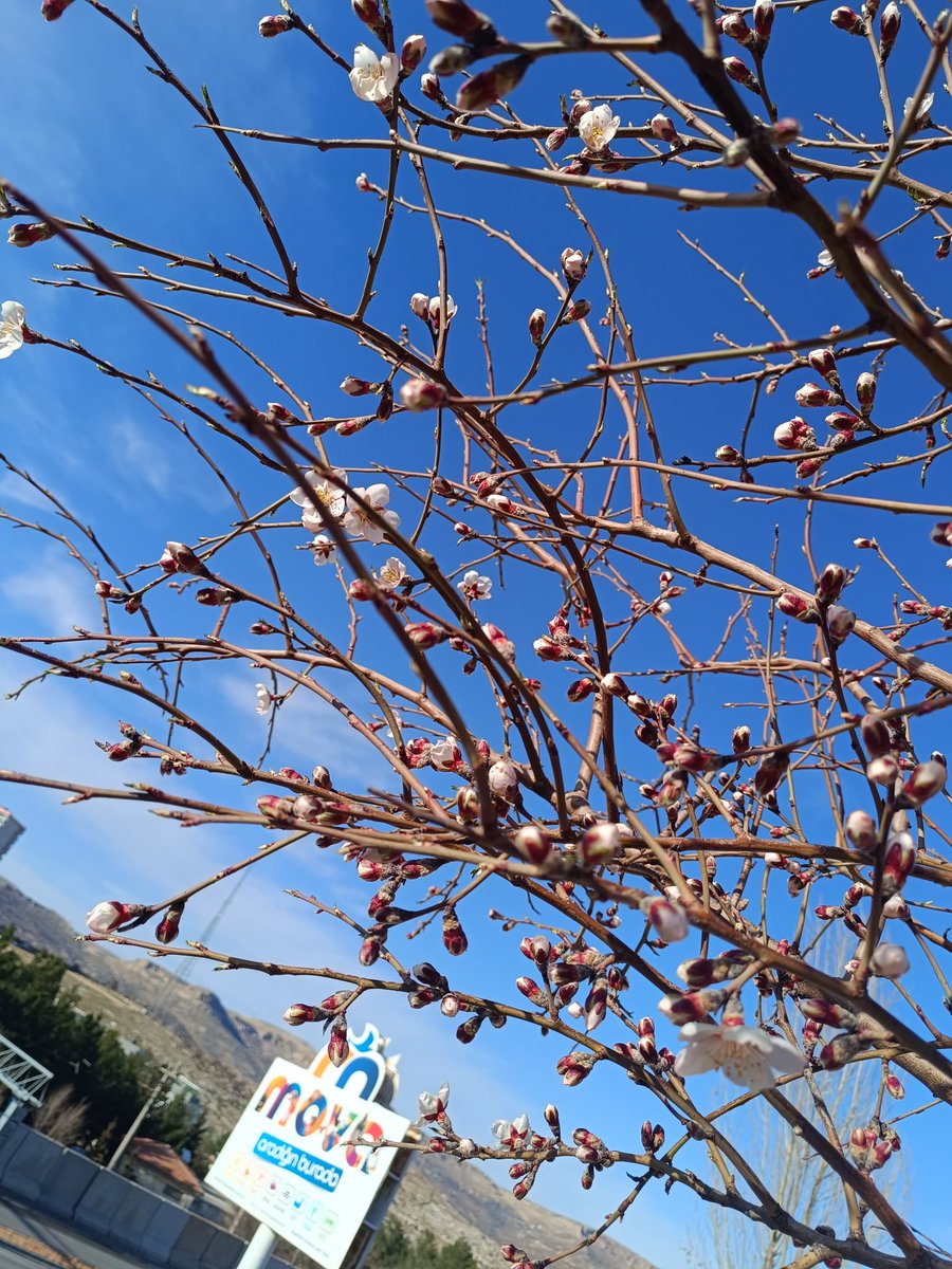 N3VZAT's tweet photo. Mardin Sabahından Herkese Günaydınlar 🌞 https://t.co/VXuJm07OwT
