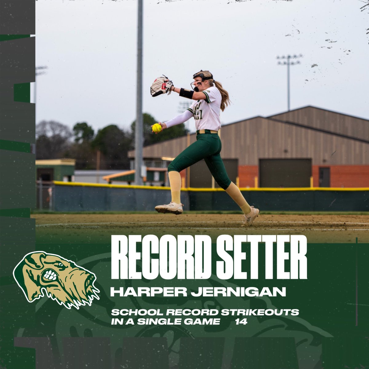 History made tonight at the yard! Harper Jernigan strikes out 14 in the 8-6 win against the Booneville Bearcats!