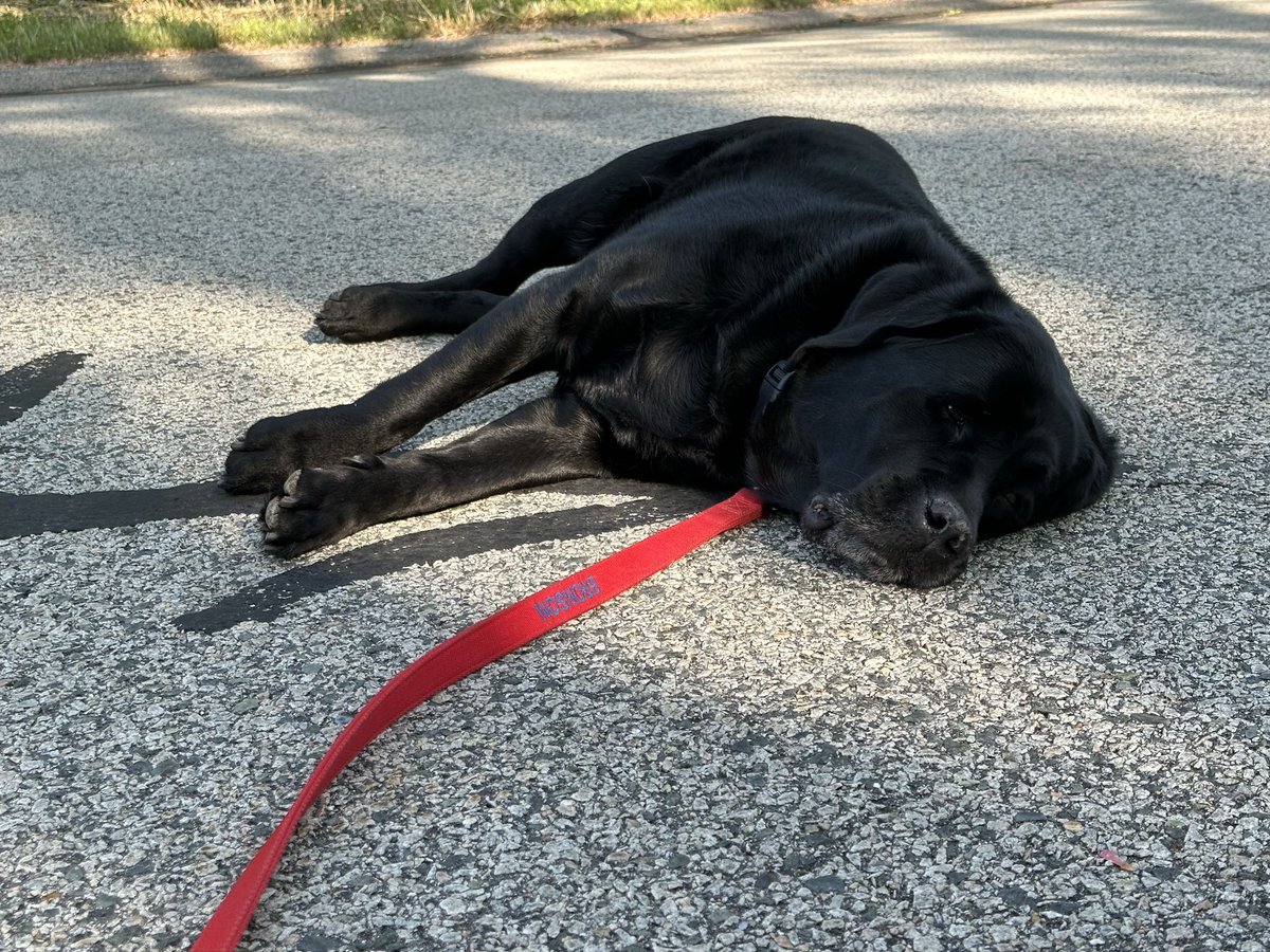 Charles Bronson tweet media