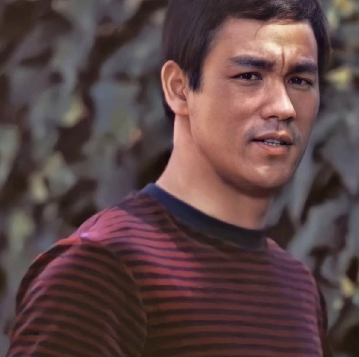 グリーン・ホーネット #TheGreenHornet #ブルース・リー電光石火