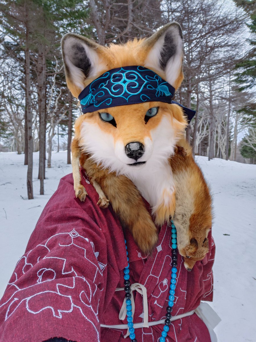 しゃとる （雷鳥の人🦃📸） (@shuttle_drive) on Twitter photo 