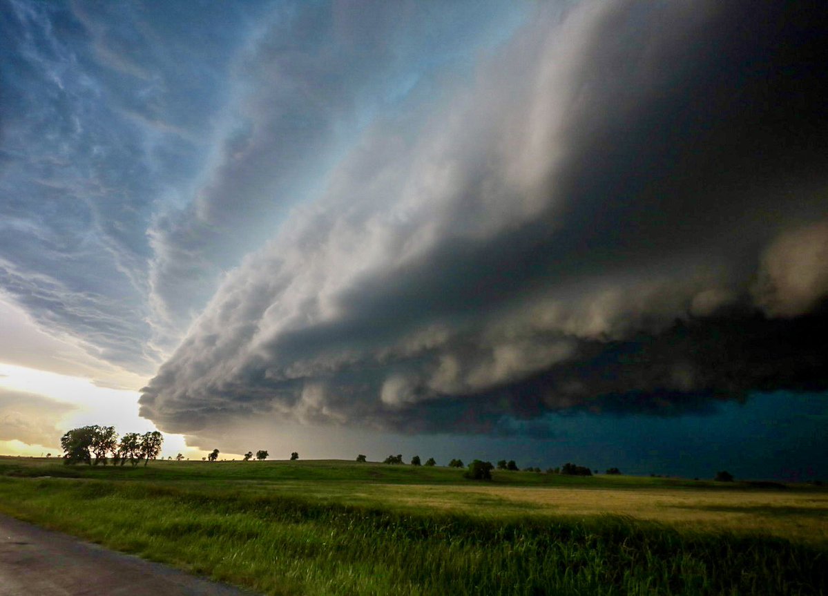 Paige Berdomas🌪 tweet media