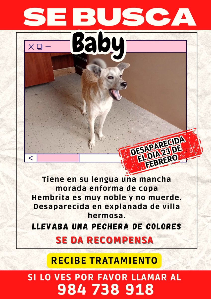 Mike Niken tweet media