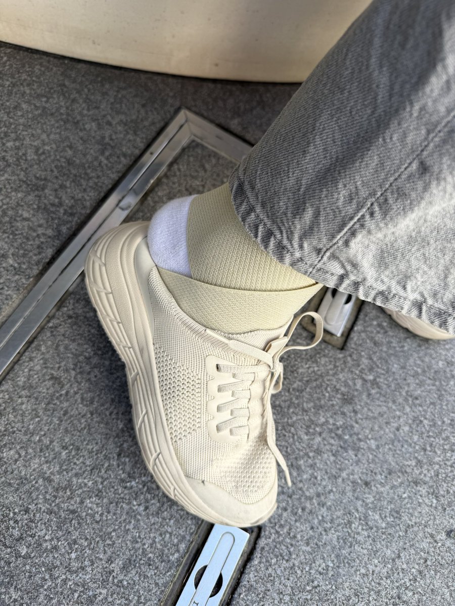 sugarpup🌌 tweet media