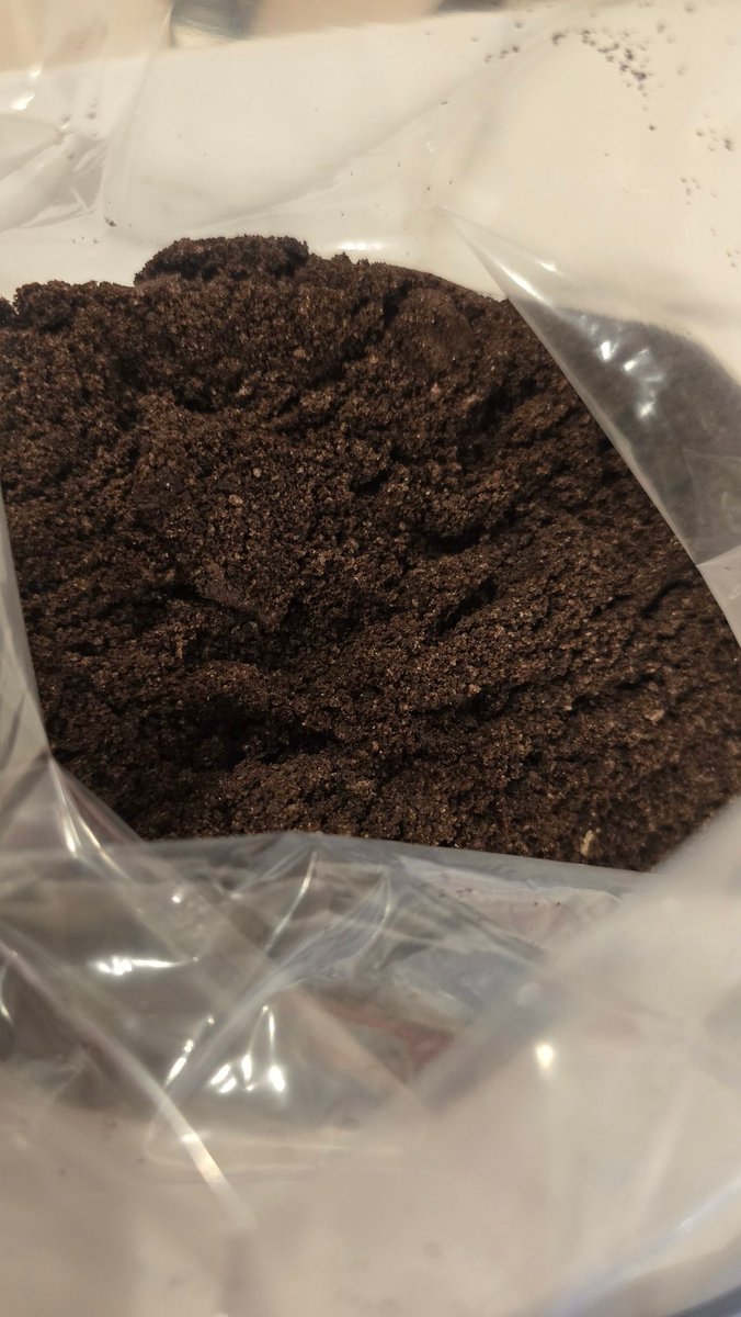 jcae2008's tweet image. Edible dirt...tomorrow's book theme will have the kids crawling with laughter 🕷🐞🪳🦟🦗🐛🐜
#ReadAcrossAmerica