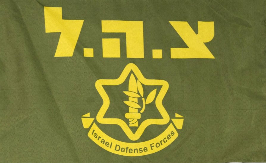 Pez 🐦 tweet media