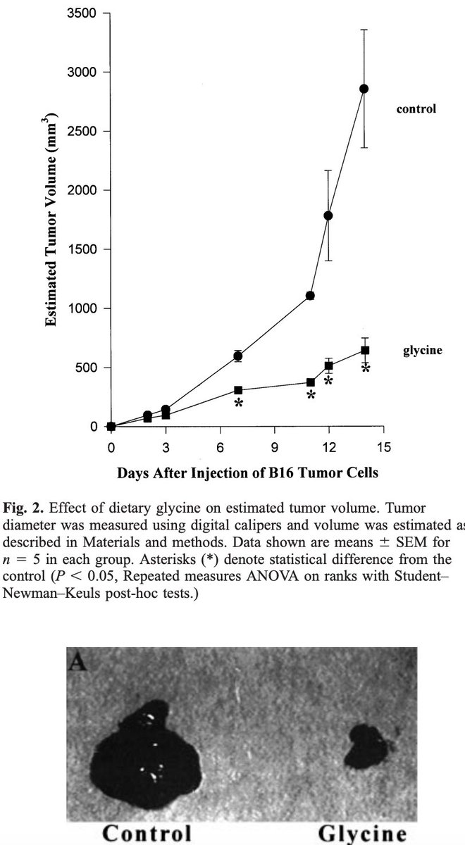 Dalton (Analyze & Optimize) tweet media