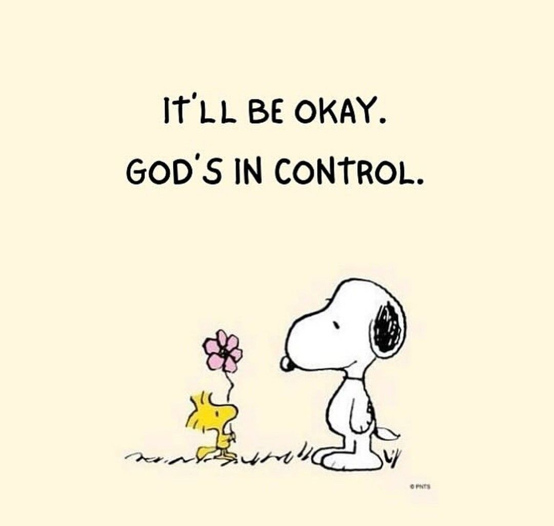 The Snoopy Corner tweet media