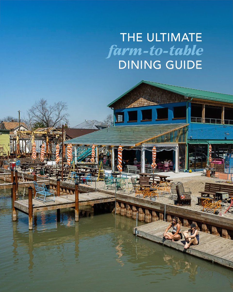 Pure Michigan tweet media