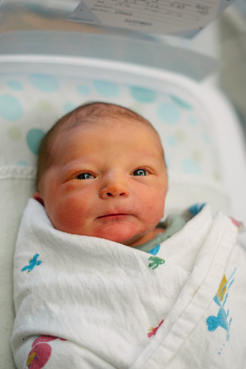 Roosevelt Baseball tweet media