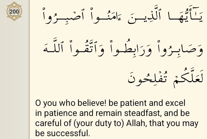 $Billionaire tweet media