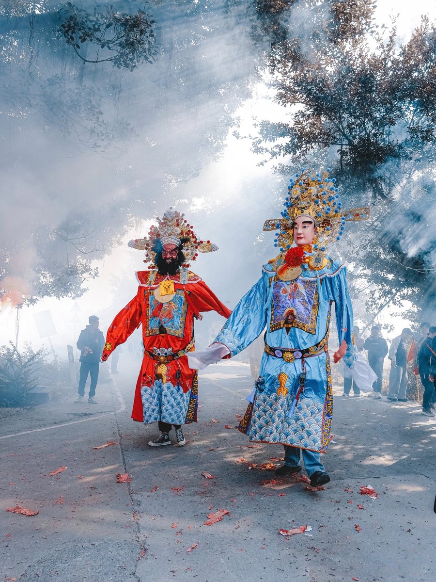 不会飞的猫（互fo） tweet media