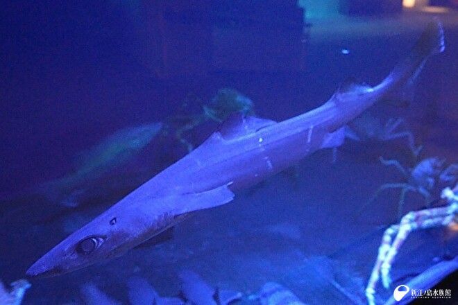 明日ぁぁぁぁぁぁ！！！！！！！！ 行くぞォォォォォ！！！！！！！！