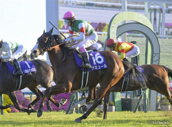 【蒼天を駆ける飛行機雲の続き】
#コントレイル
#ナミュール 
#福永祐一
#藤岡康太 
keibalab.jp/db/horse/20191…