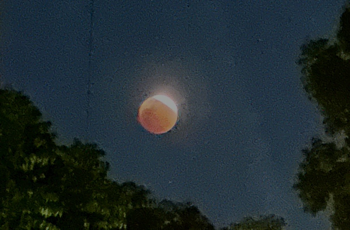 ATOMicFRANKS.stars⚛️ ⭐️🔭🪐🍬 tweet media