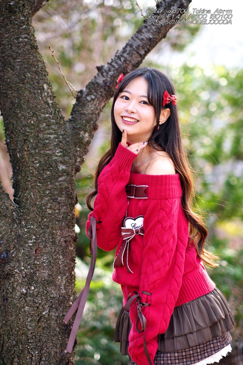 🇺🇦さくら🐇のパパ🇯🇵高配当株に移行中🇺🇦 (@K70_55) / Posts / X