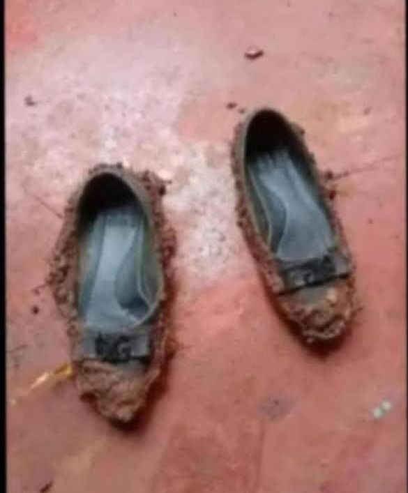 Amefika guys, si baadaye watu wangu