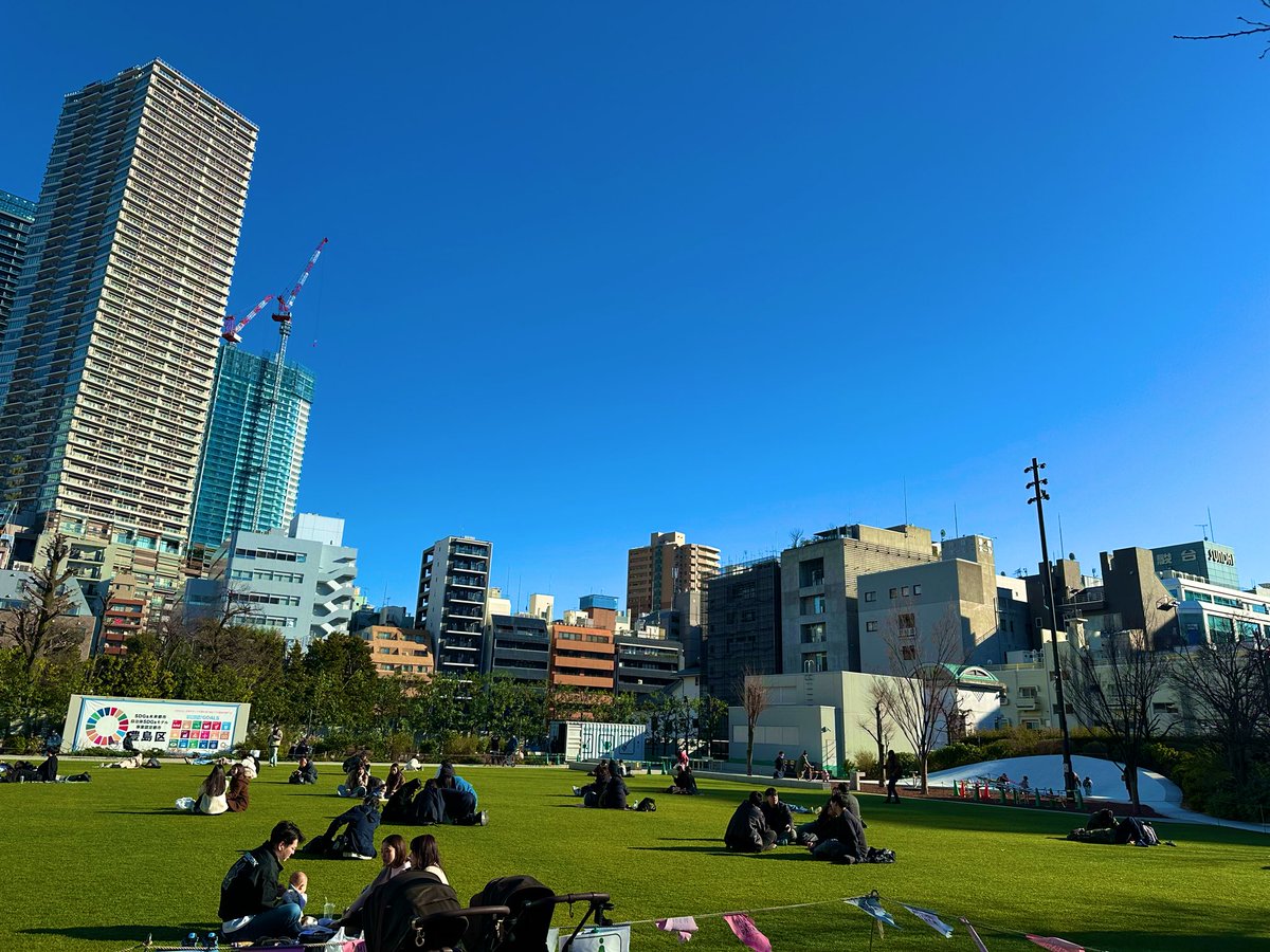 晴れたね🐱💛