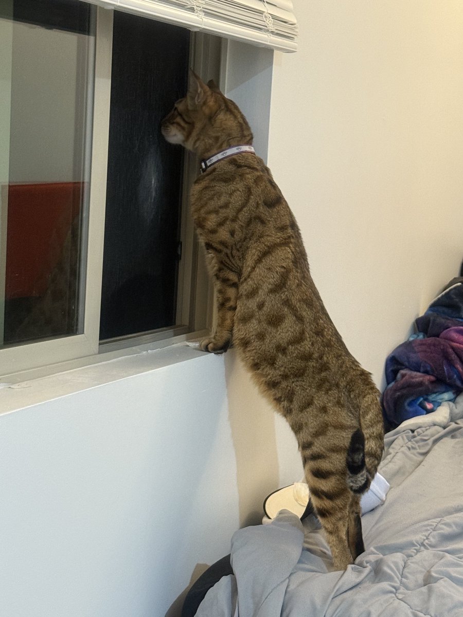 Bjorn (@bjornhub) on Twitter photo 