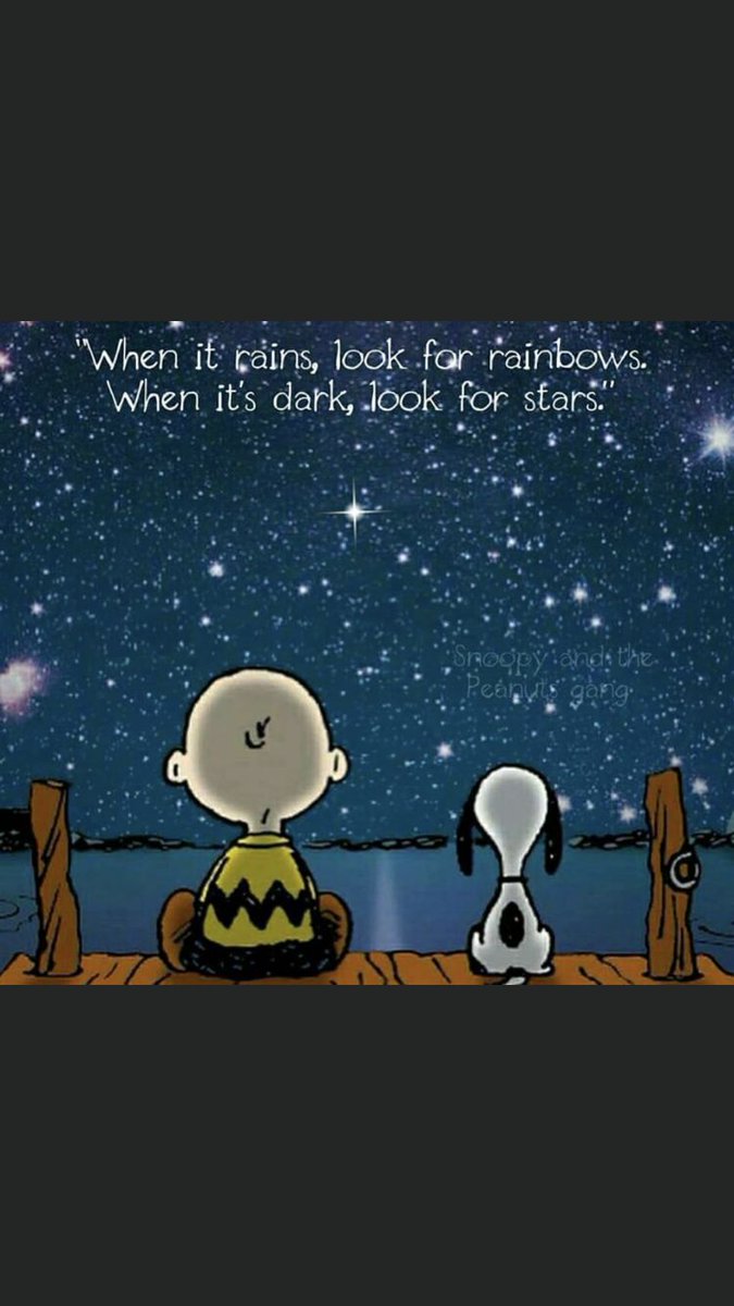 Doggo Diaries (@diaries_doggo1) on Twitter photo 