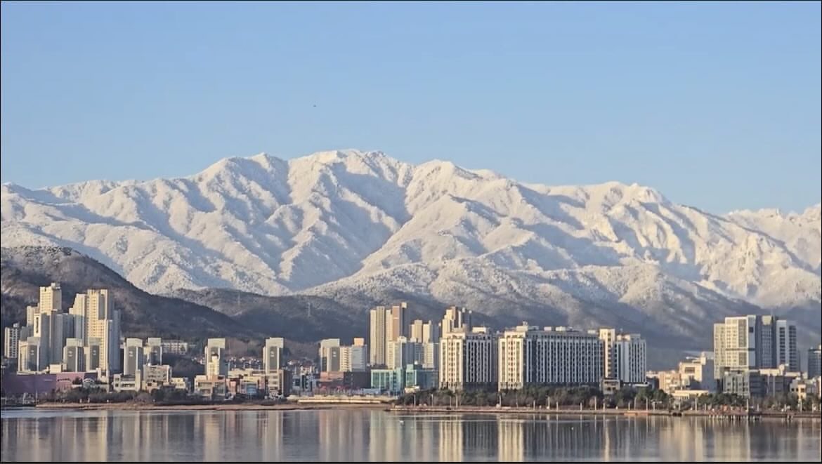 캣츠파파 tweet media