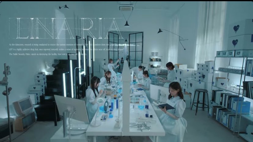 ポムの木🌿_ケイマ🍩 tweet media