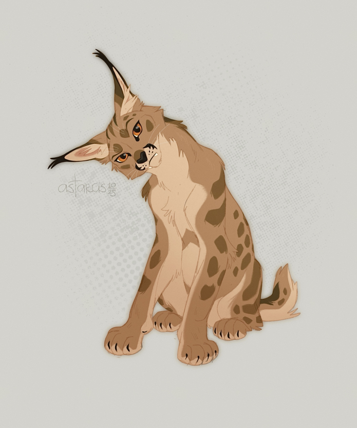 Astarcis🍂 tweet media