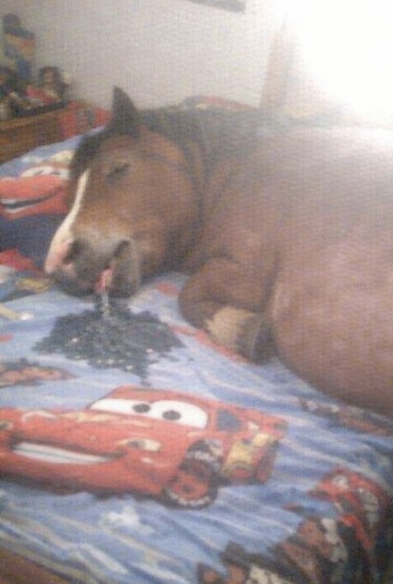 nada más rico q llegar a tu cama después de estar todo el día fuera, soy este