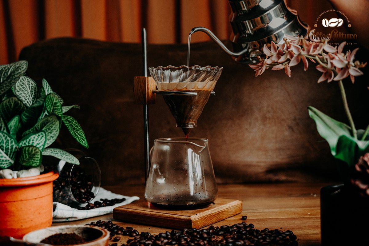 Coffee Culture Thailand tweet media