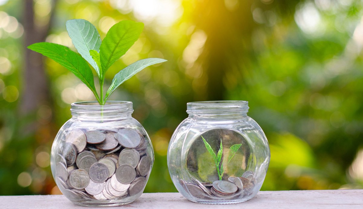 AARP Virgin Islands tweet media