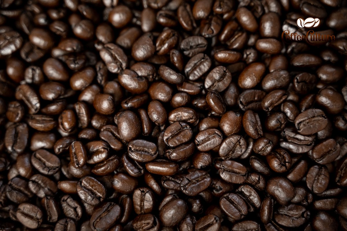 Coffee Culture Thailand tweet media