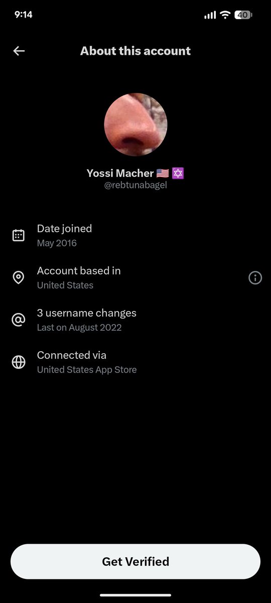 pengwing tweet media