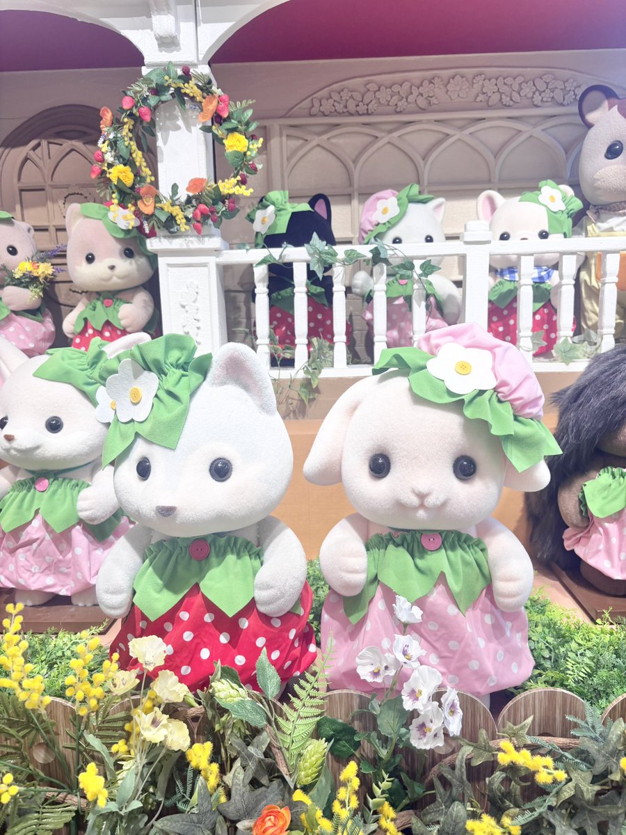kanon__doll's tweet photo. 雨だからディズニーキャンセルして、
ソラマチいったらシルバニアの大きなお家があったの！
入場料300えんでかわいすぎる展示とお買い物も出来て大満足🐰🏠♡ https://t.co/wz0CuMpe8n