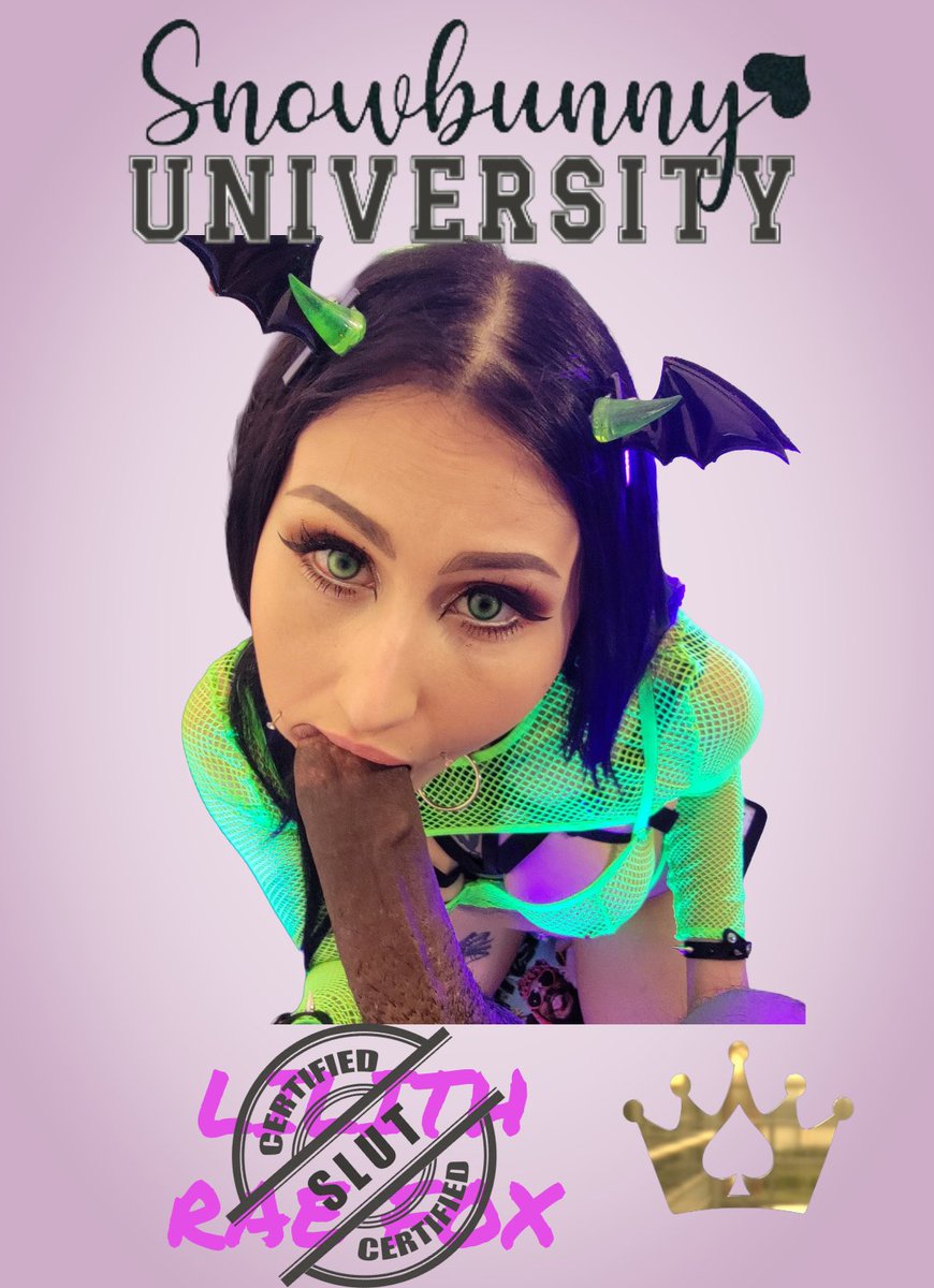 Graco Snowbunny Expert tweet media