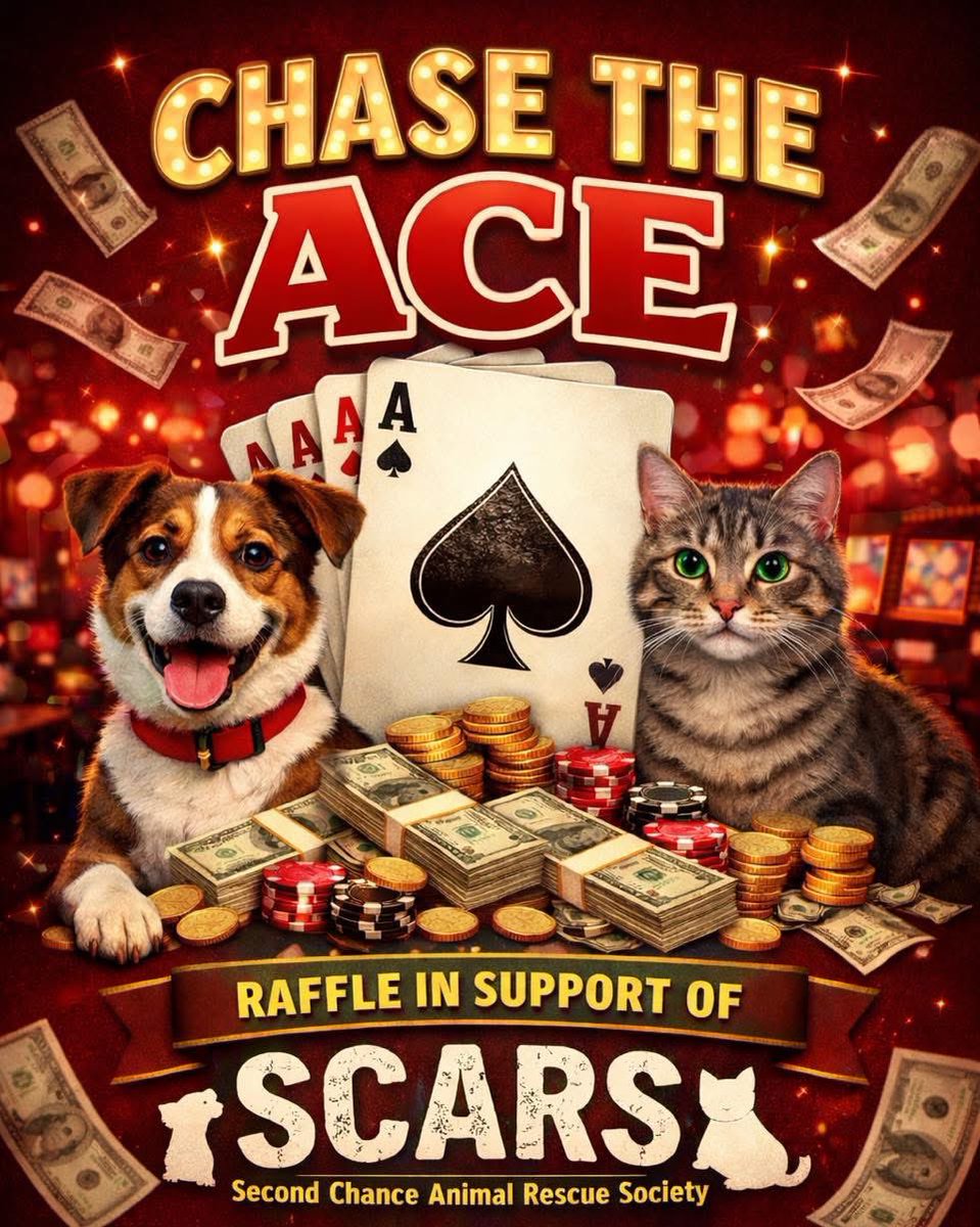 SCARS_Alberta's tweet photo. 🂡 CHASE THE ACE IS HERE! 🂡

We’re excited to launch our Chase the Ace raffle in support of SCARS – Second Chance Animal Rescue Society 🐶🐱

Every ticket sold helps provide food, medical care, and safe shelter for dogs and cats in need — AND gives you a chance to win BIG! 💰

✨ Weekly draws
✨ Growing jackpot
✨ Find the Ace of Spades and win it all!

Get your tickets today and help us give animals the second chance they deserve ❤️

https://t.co/BNezUqynvH

#ChaseTheAce #SupportSCARS #RescueAnimals #WinBig