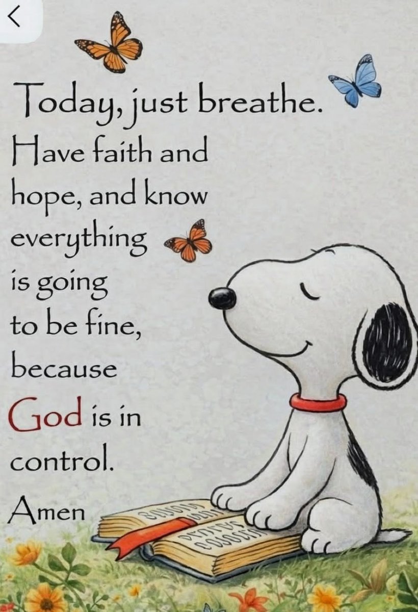 The Snoopy Corner tweet media