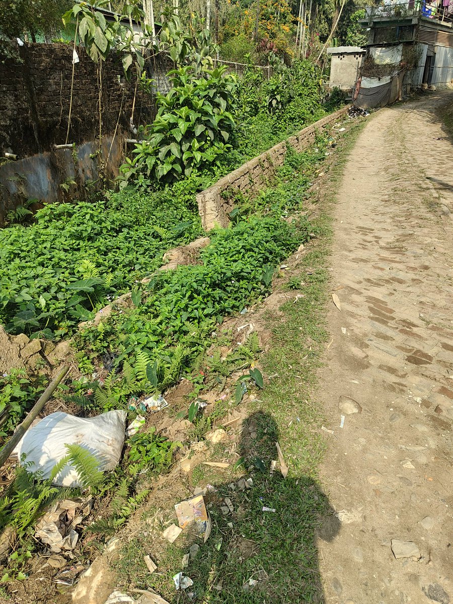 iamCeermoye's tweet photo. @himantabiswa Sir,
I am from Golai Gaon No. 1, Margherita Sub-Division (Tinsukia, Assam). All roads in our Gaon Panchayat are completed except this one.
We have visited the MLA office and Panchayat many times. We are told funds are insufficient and work remains incomplete. https://t.co/Uvaf1PvCyY
