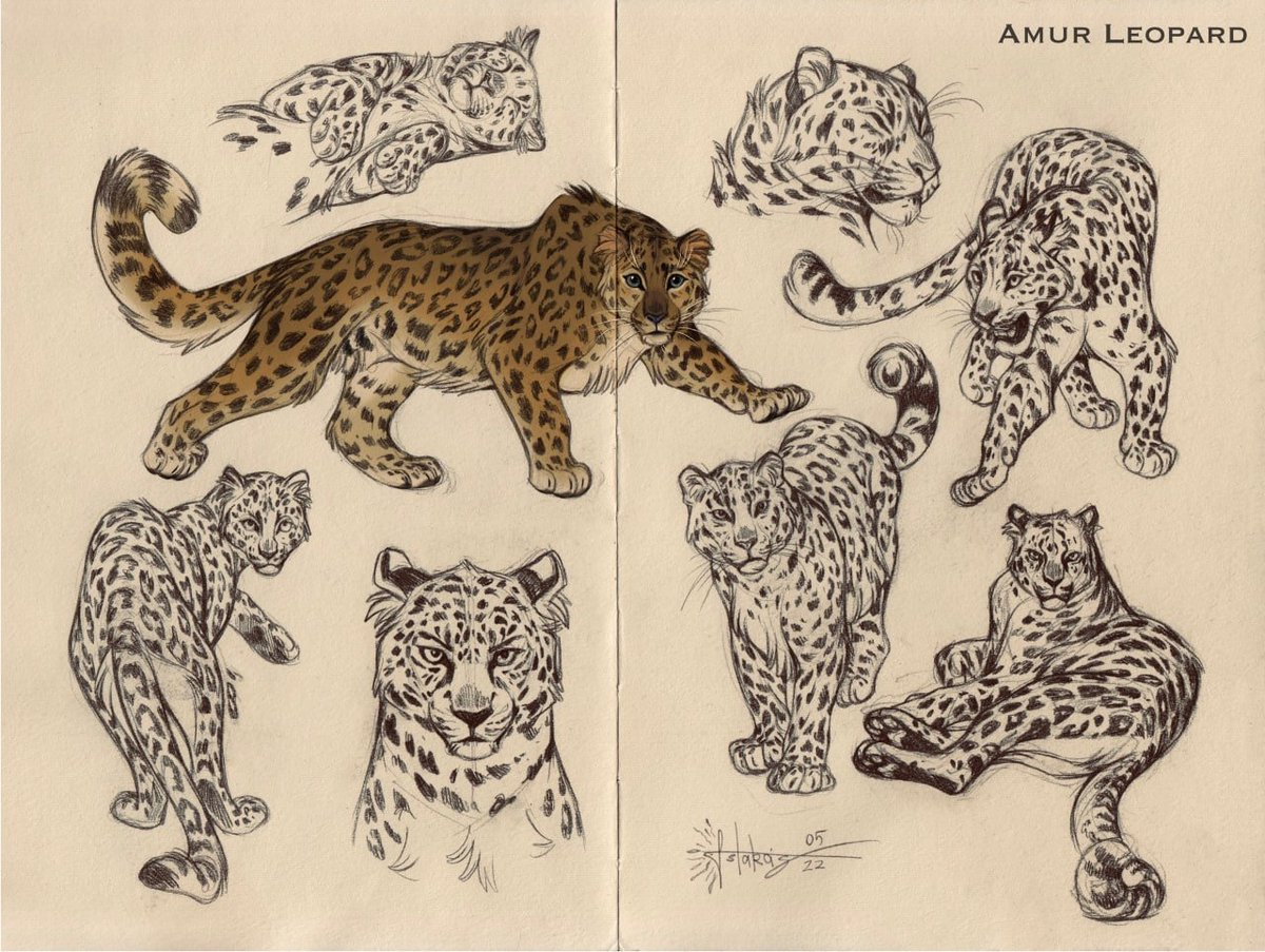 Astarcis🍂 tweet media