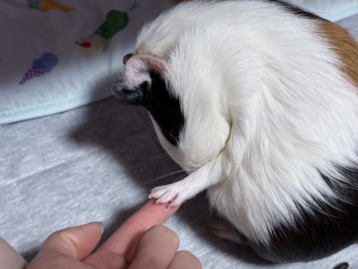 自分が気に入ってる写真を1枚選んで無言で貼る