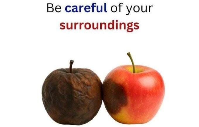 वरुणः रानडे Dr. Varun Ranade tweet media