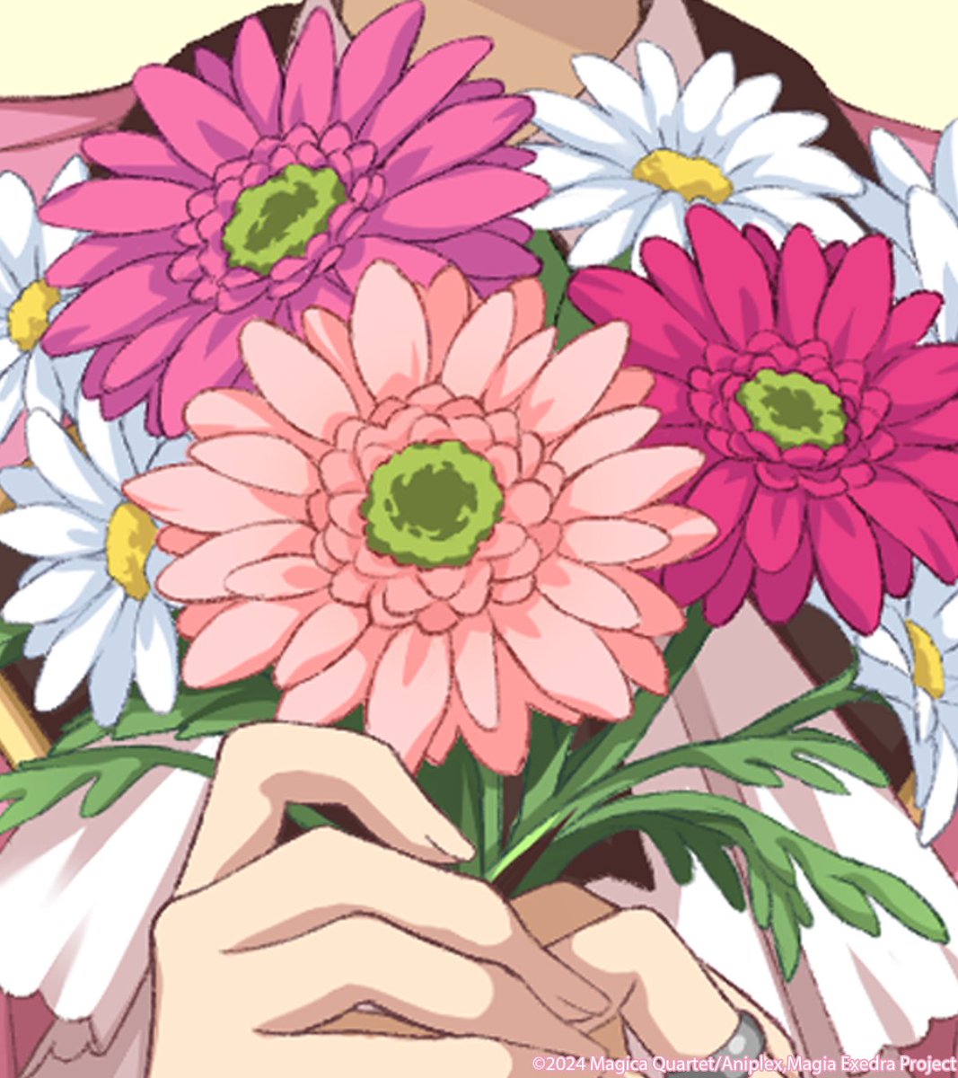 ✨✨━━━━━━━━━✨✨ 生放送まであと2日 ✨✨━━━━━━━━━✨✨ 生放送まであと2日