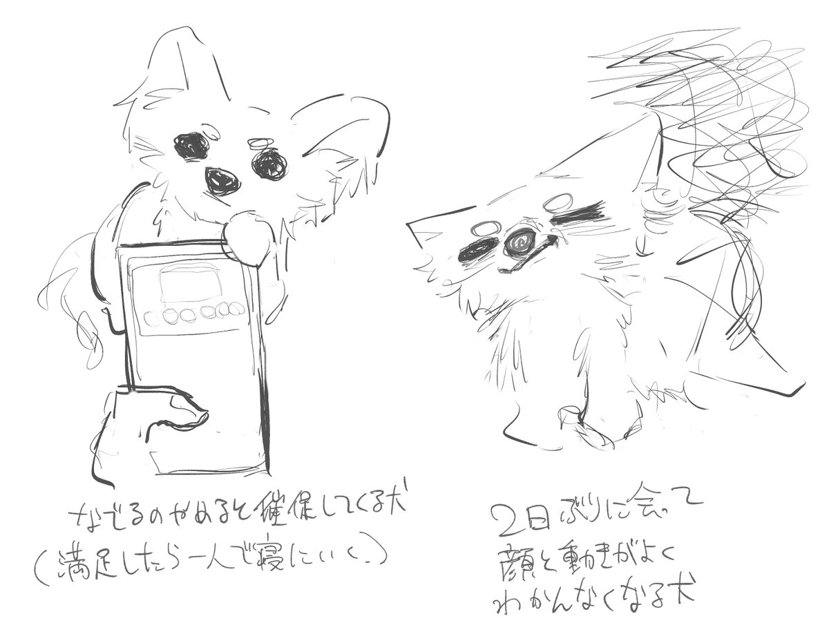 犬プリ(プリティー)エピソード