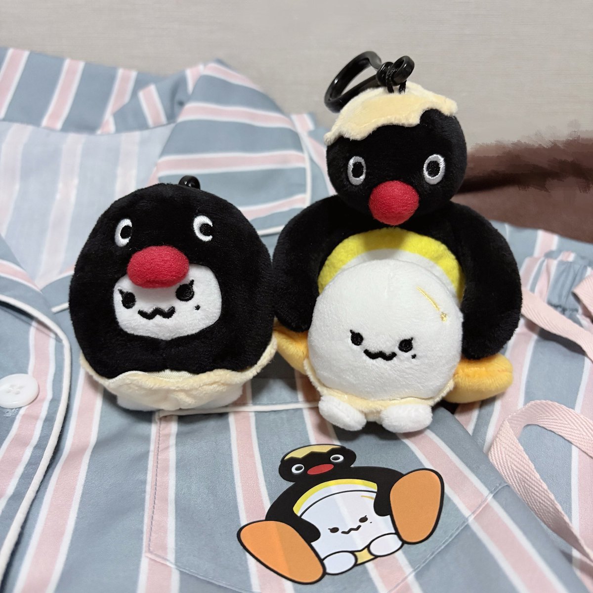 テヨンちゃん×Pingu購入グッズ🦋🥚🐧 ピングーとピンガのto.Xダンス