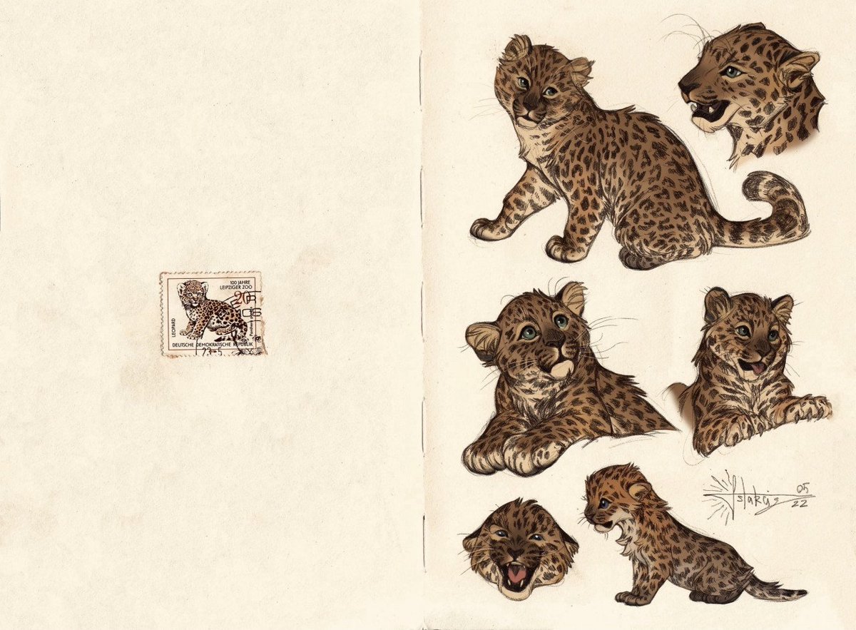 Astarcis🍂 tweet media