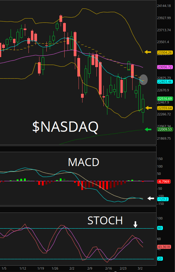 ChartingKatrina❤️🔥🎀 tweet media