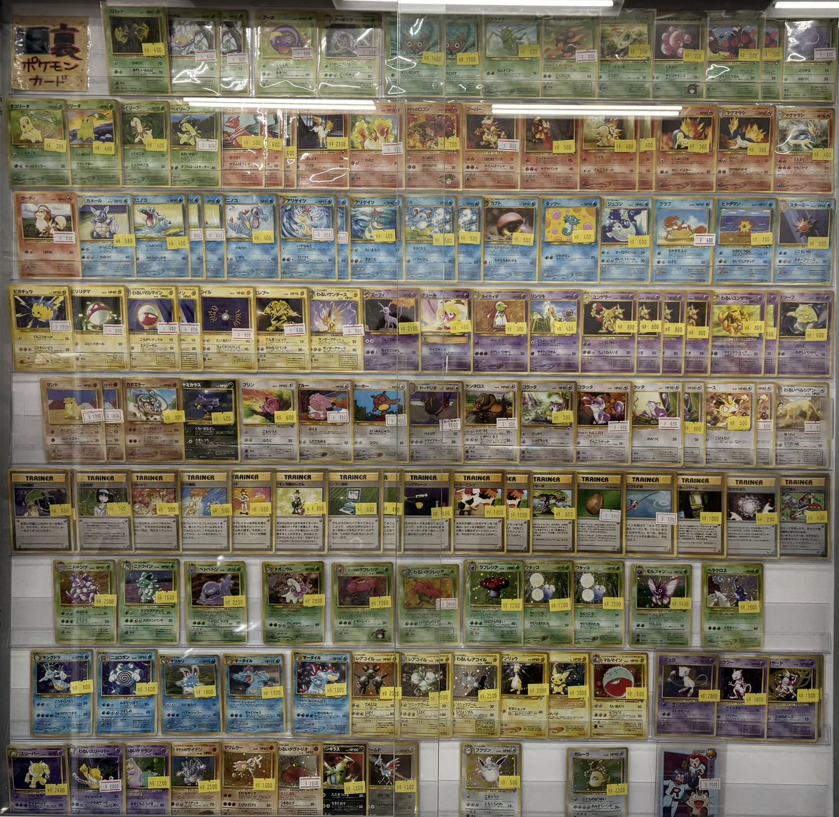 本日も通常通り開店しました❣️ 旧裏のショーケース紹介です✨ レアな