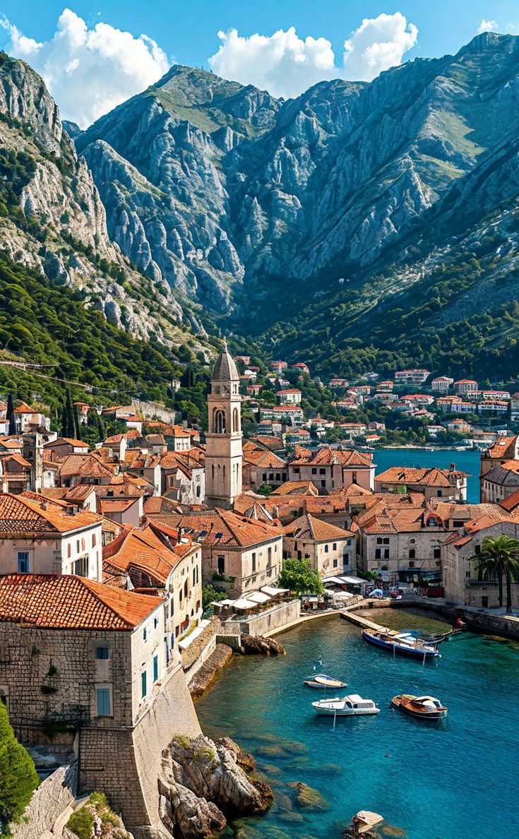 Vibrant Aesthetics tweet media