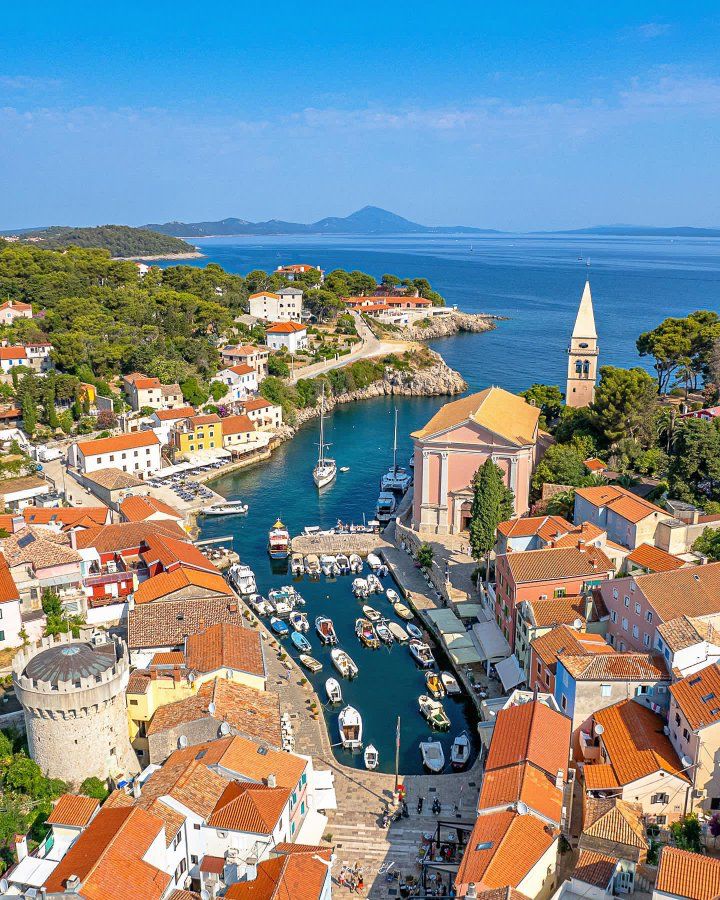 Vibrant Aesthetics tweet media