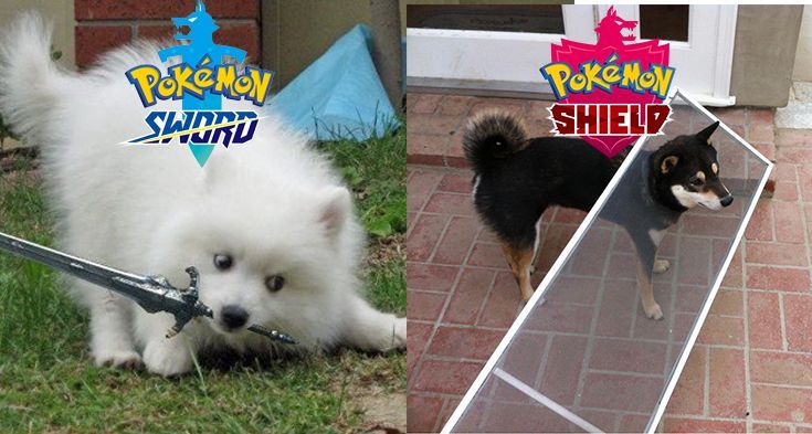 Pokémon Posts tweet media